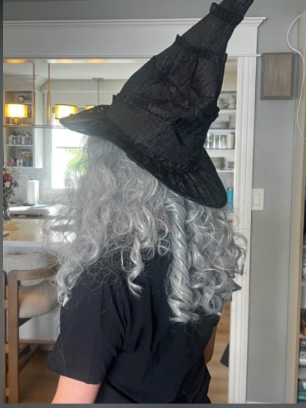 Mystical Gothic Tiered Crinkle Witch Hat & Voluminous Grey Curly Wig Costume Set